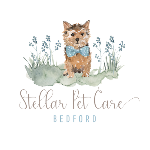 Stellar Pet Care Bedford nova scotia dog walking business